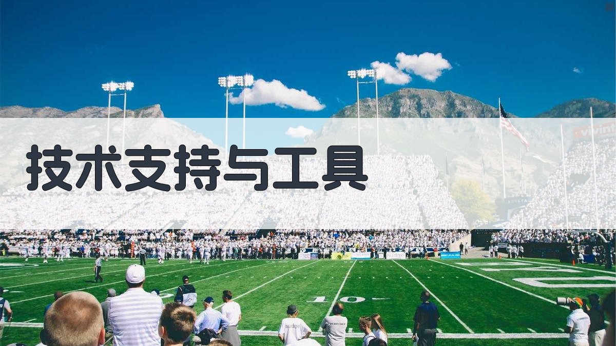 技术支持与工具 图4