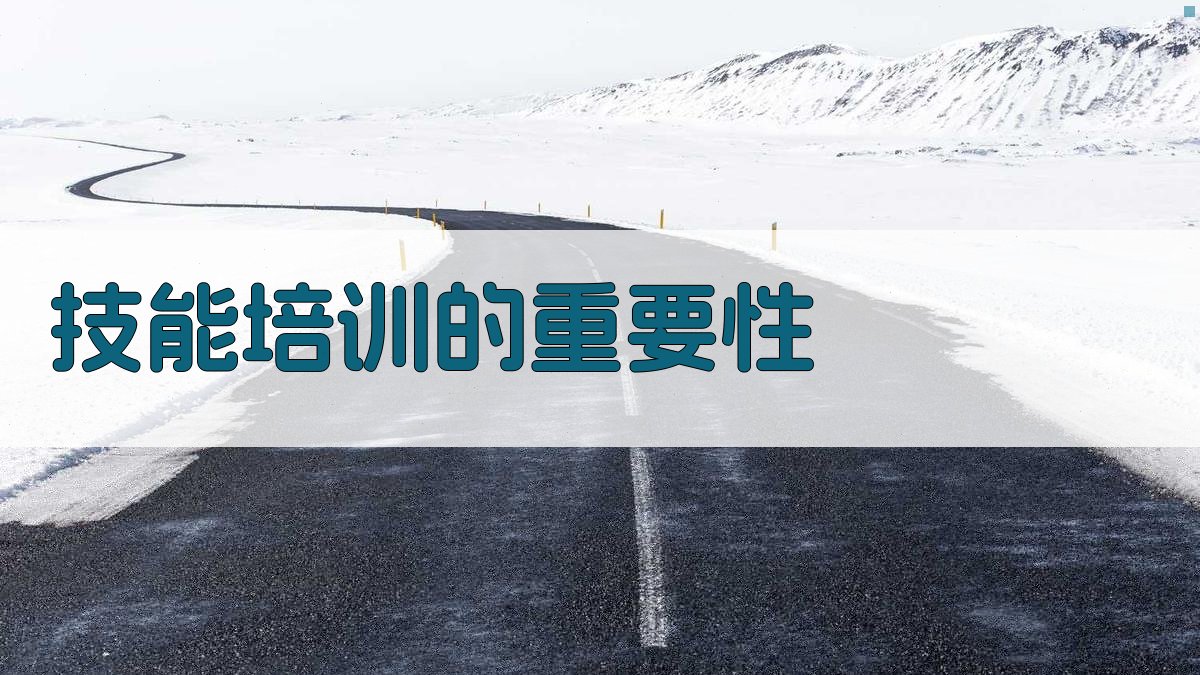 技能培训与就业前景