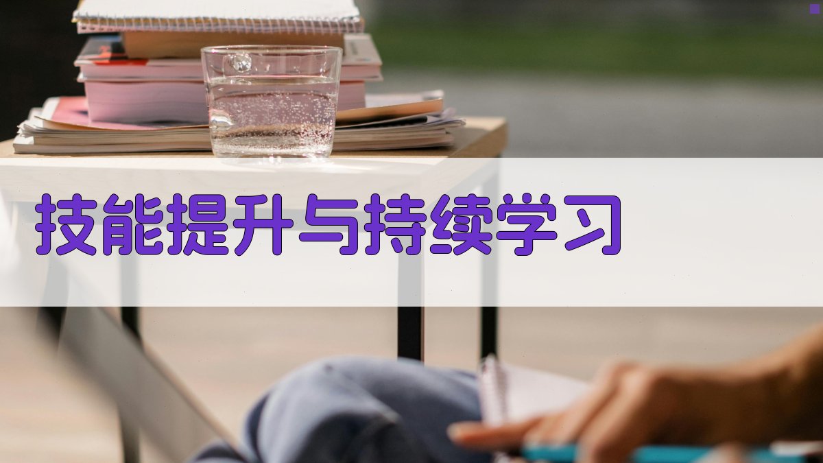 技能提升与持续学习 图1