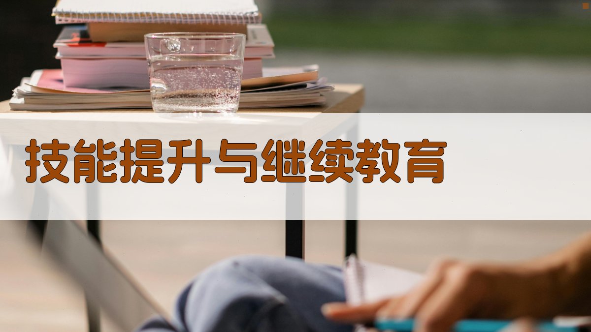 技能提升与继续教育 图3