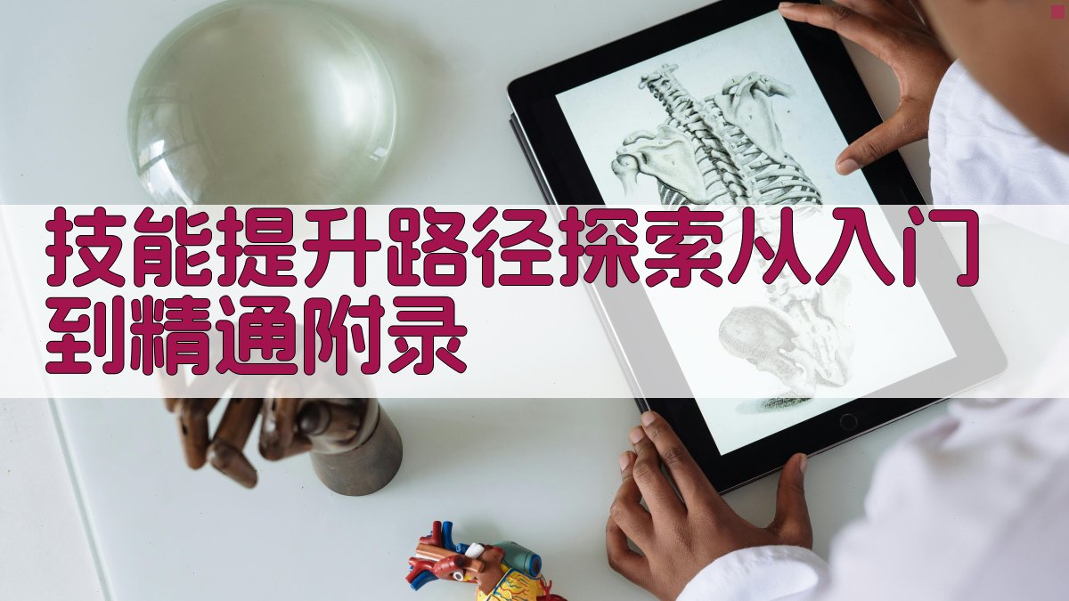 技能提升路径探索从入门到精通 · 附录 图5