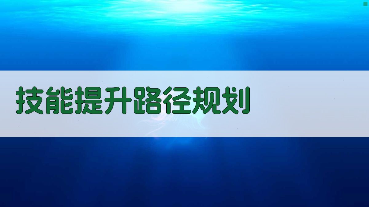 技能提升路径规划 图3