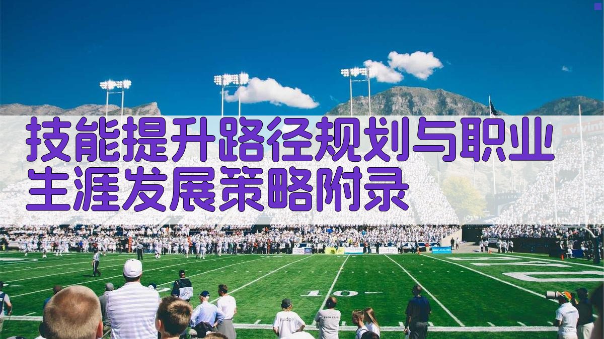 技能提升路径规划与职业生涯发展策略 · 附录 图5