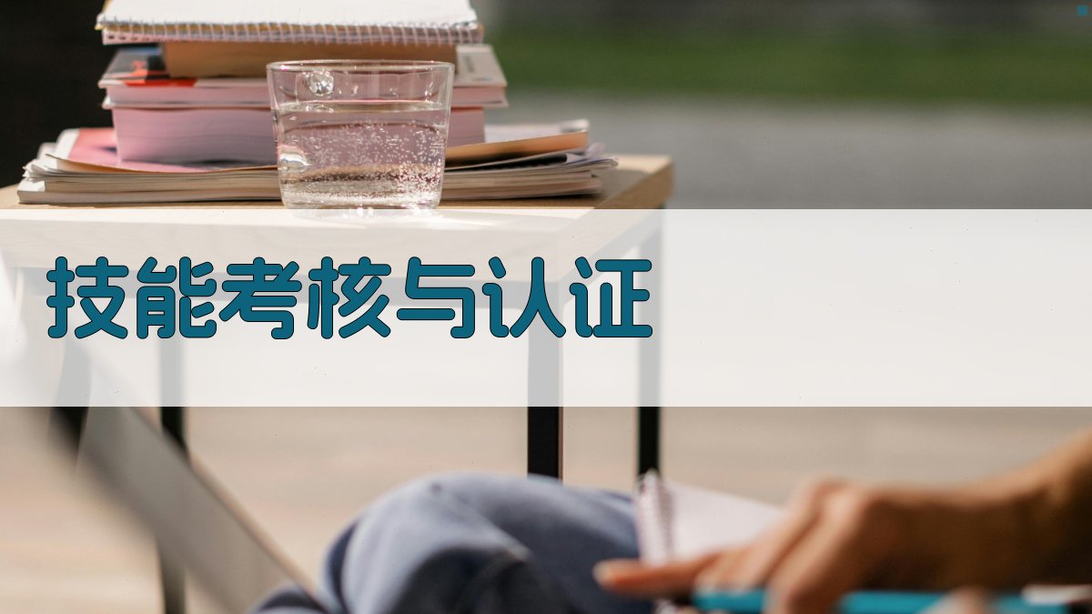 技能考核与认证 图2