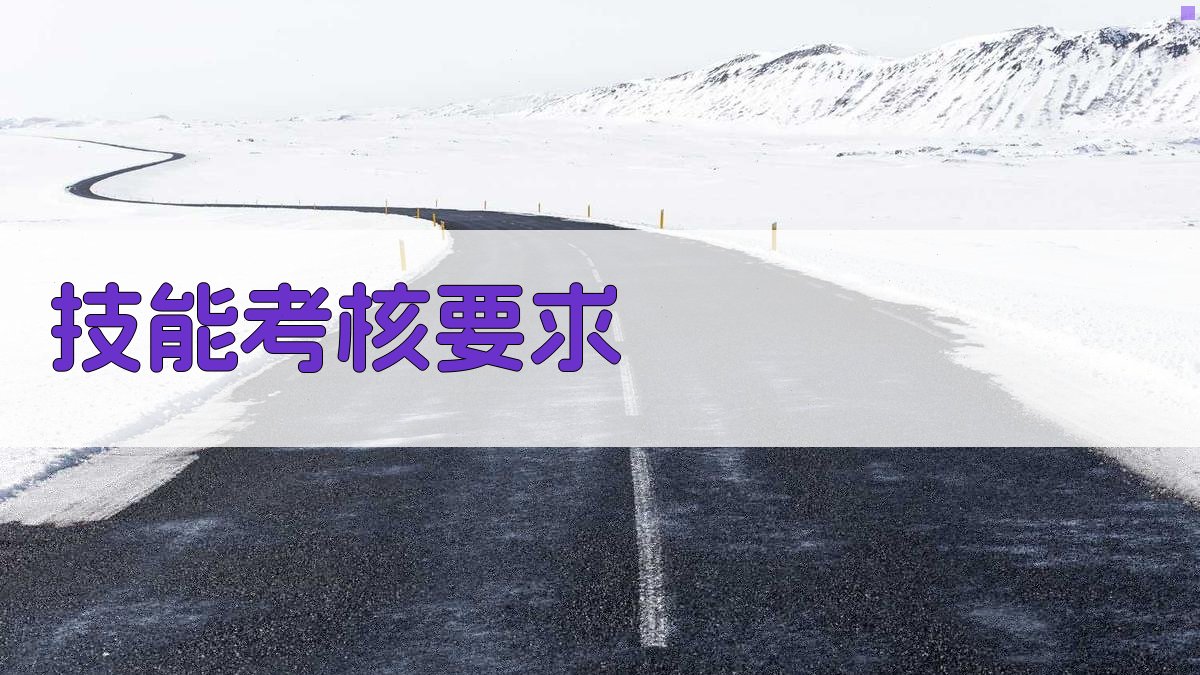技能考核要求 图1