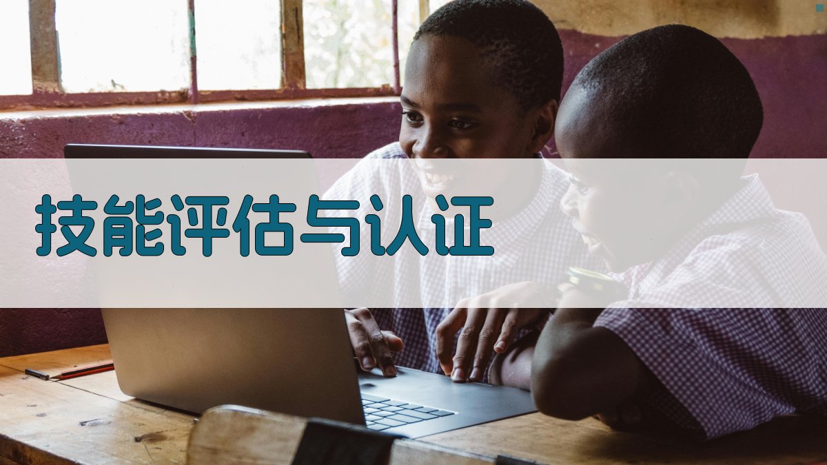 技能评估与认证 图3