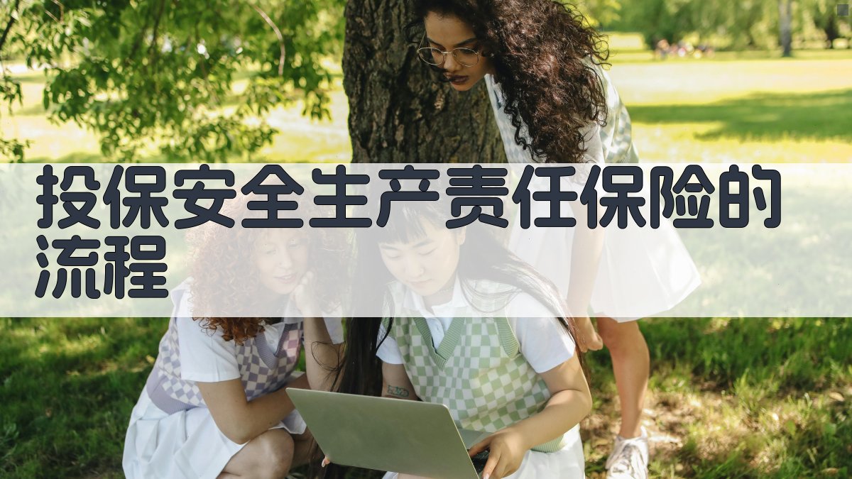 投保安全生产责任保险的流程 图1