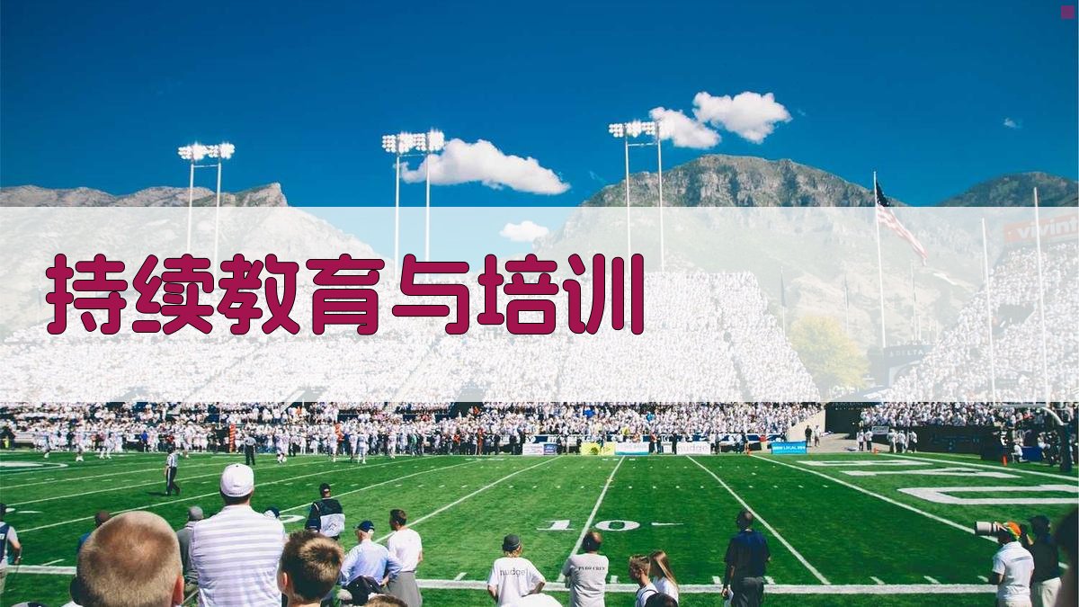 持续教育与培训 图2