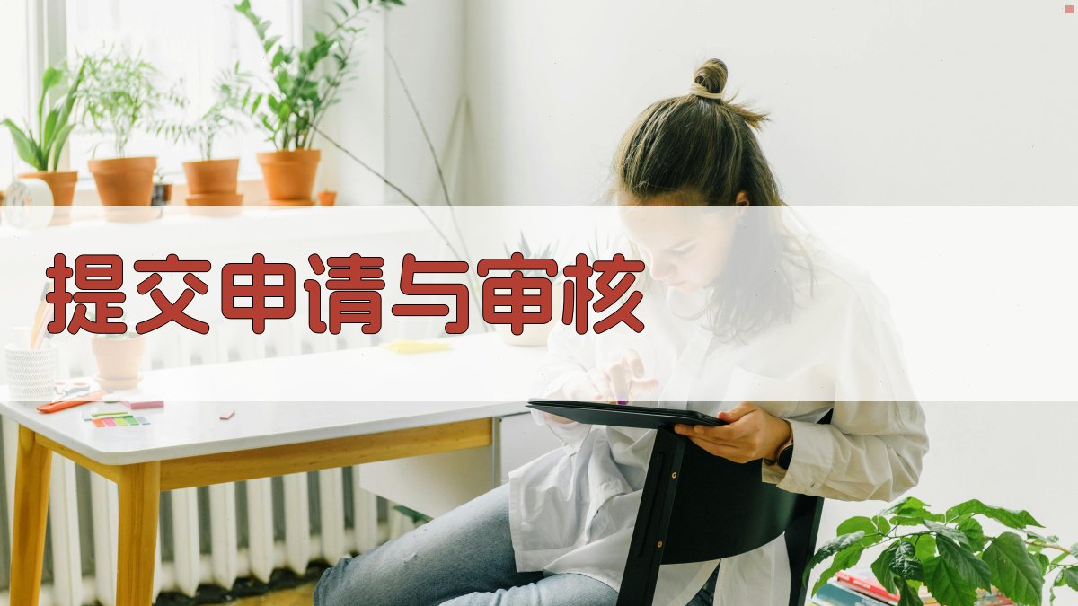 提交申请与审核 图3