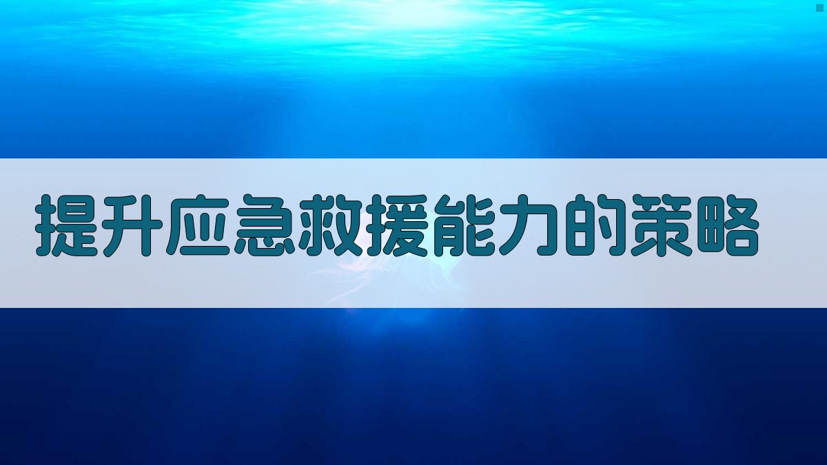 提升应急救援能力的策略 图2