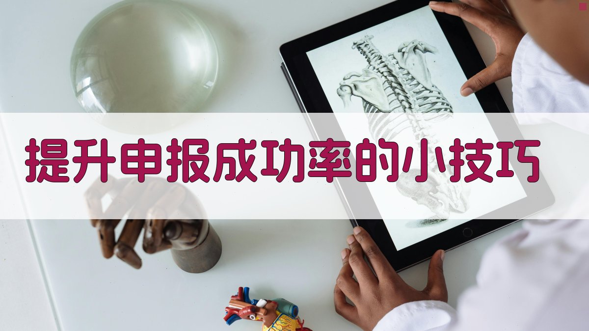 提升申报成功率的小技巧 图4