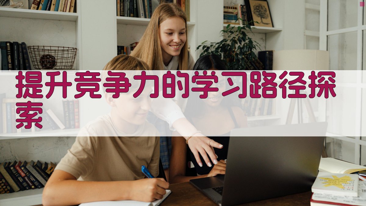 提升竞争力的学习路径探索 图1