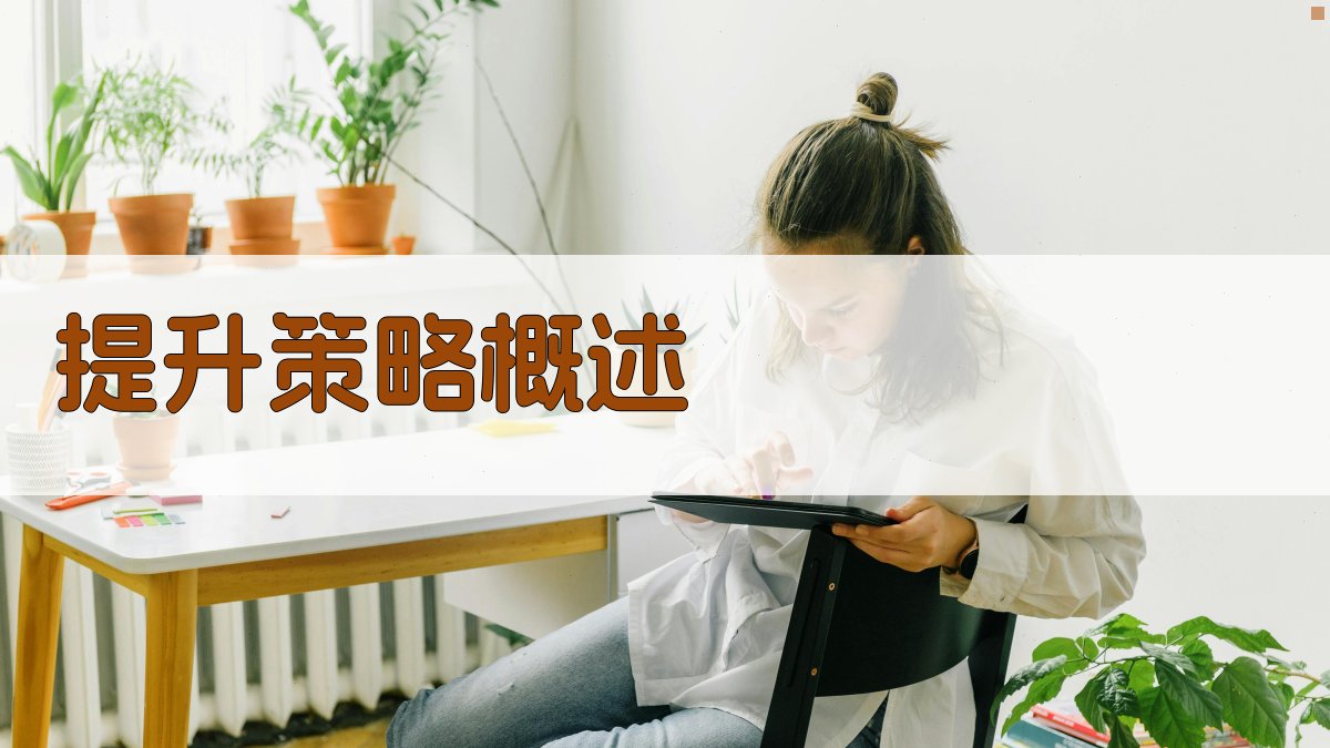 提升策略概述 图1