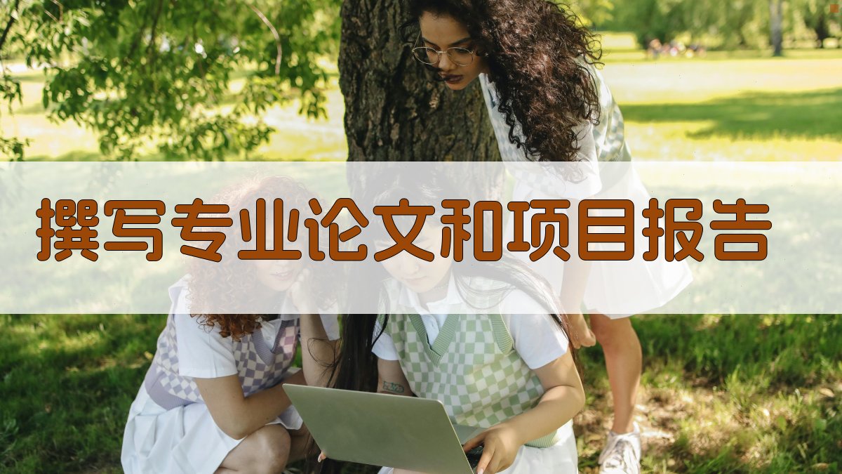 撰写专业论文和项目报告 图2