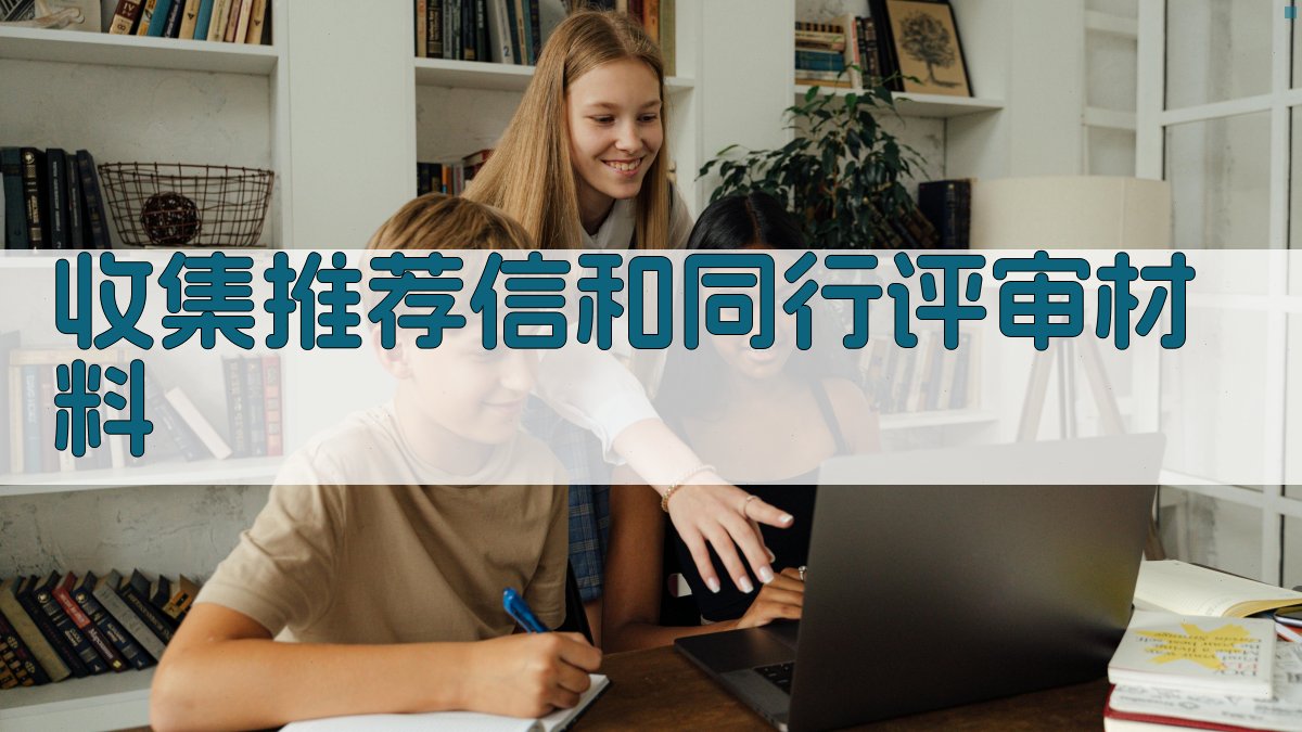 收集推荐信和同行评审材料 图3