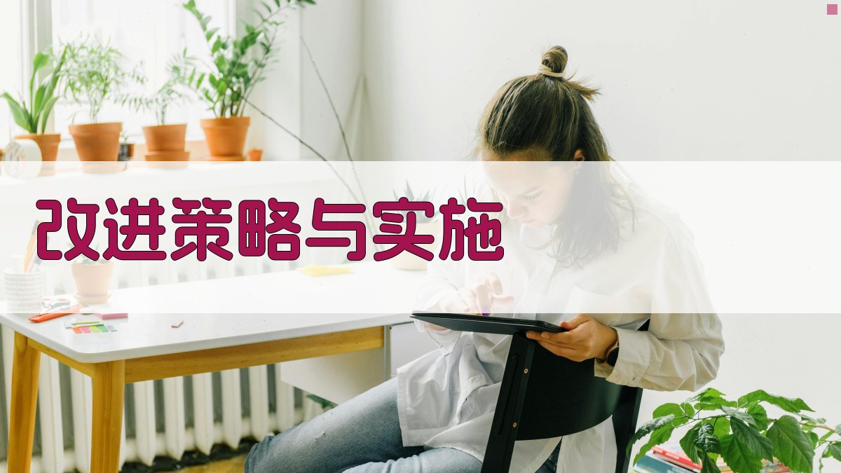 改进策略与实施 图2