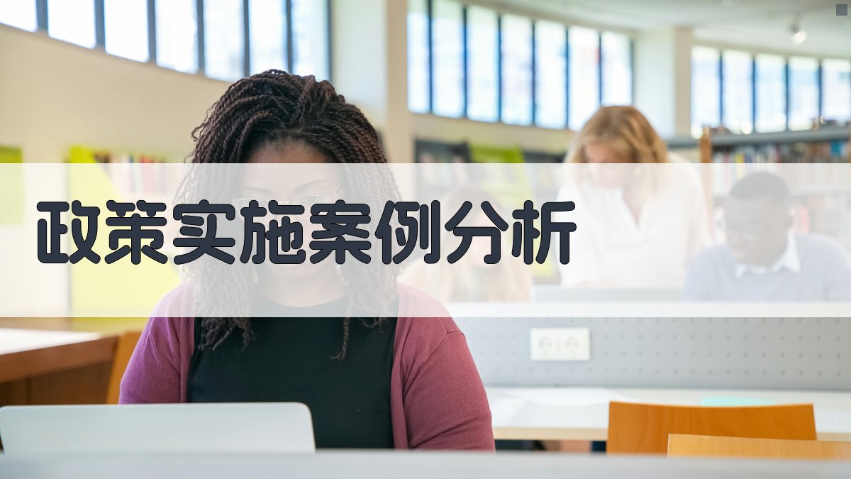 政策实施案例分析 图2