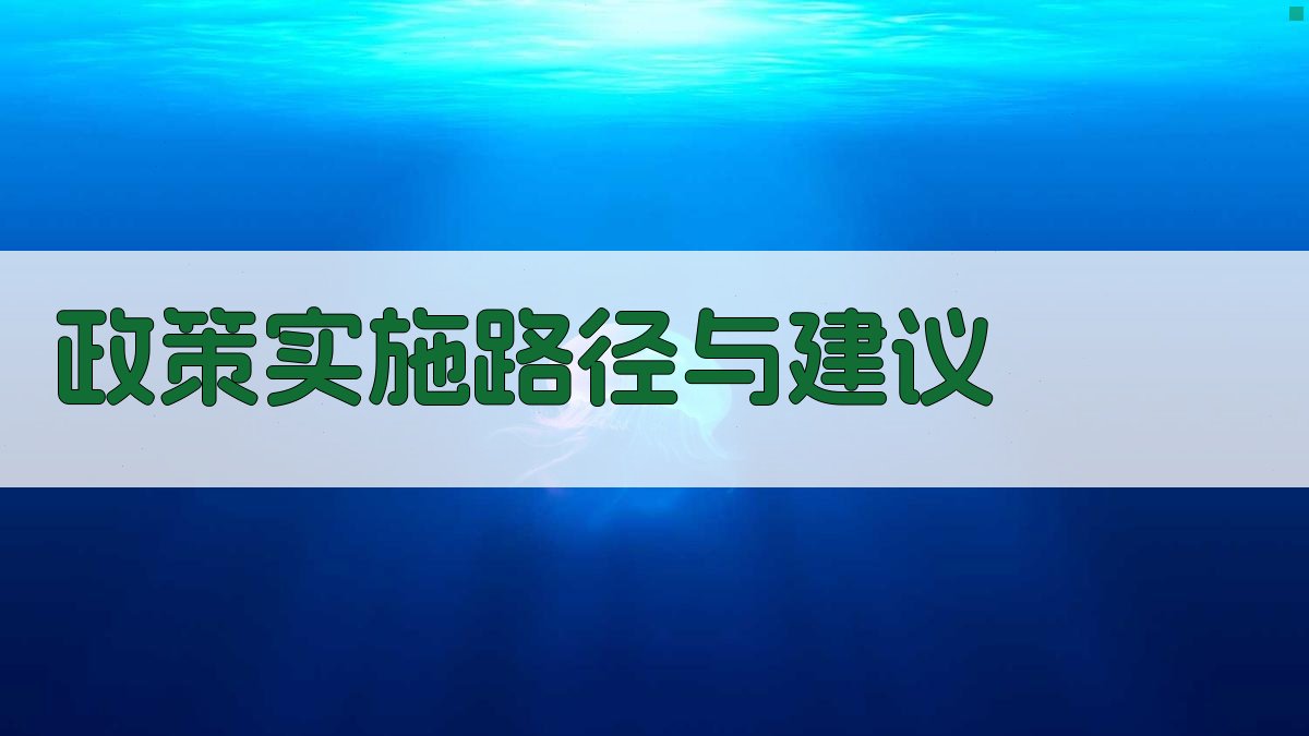 政策实施路径与建议 图2