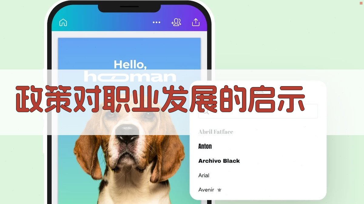 政策对职业发展的启示 图4