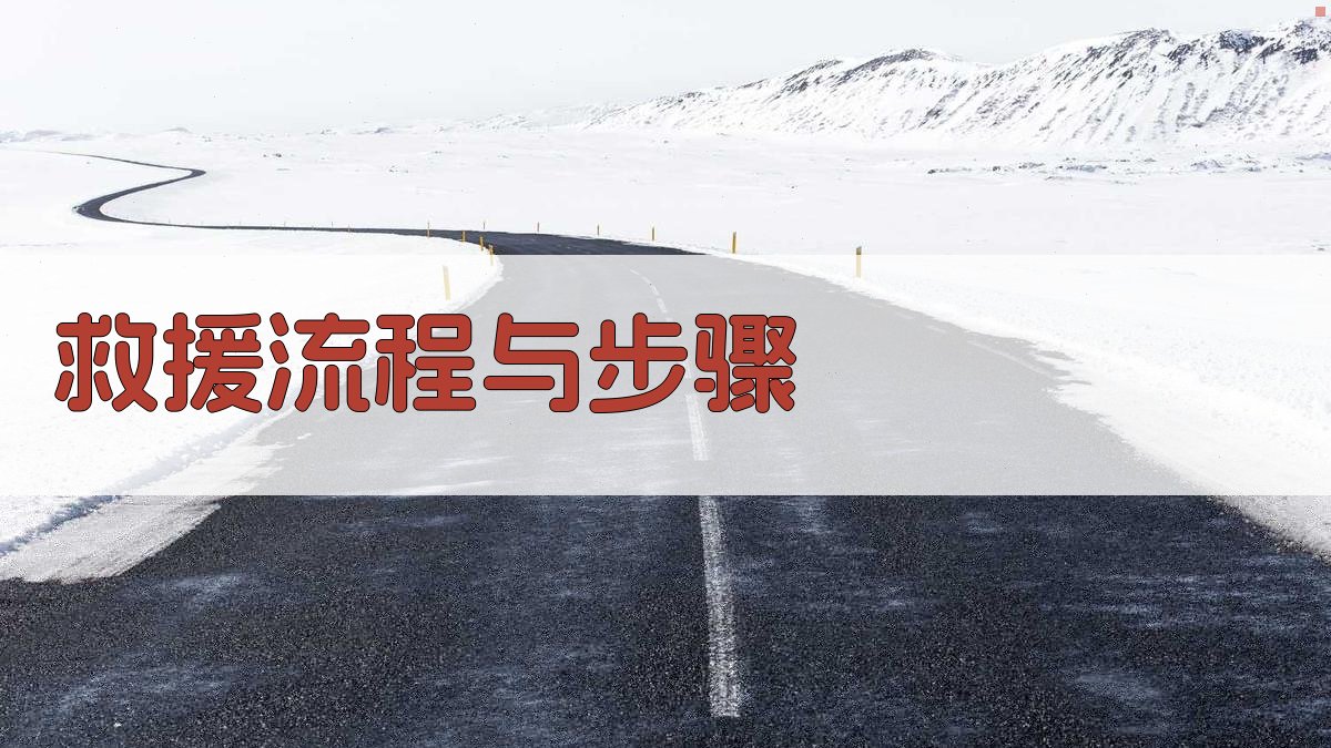 救援流程与步骤 图1