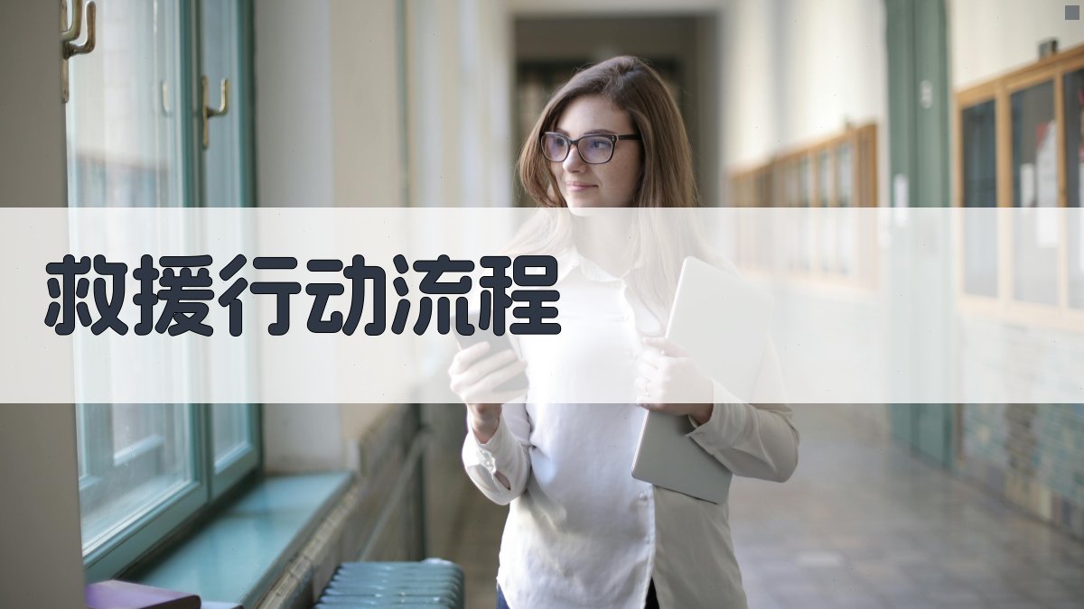 救援行动流程 图2