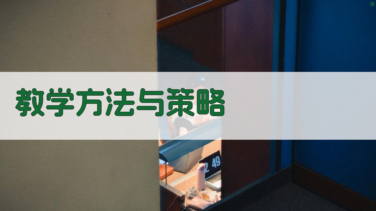 教学方法与策略 图1