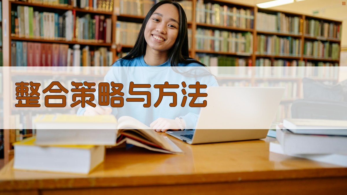 整合策略与方法 图1