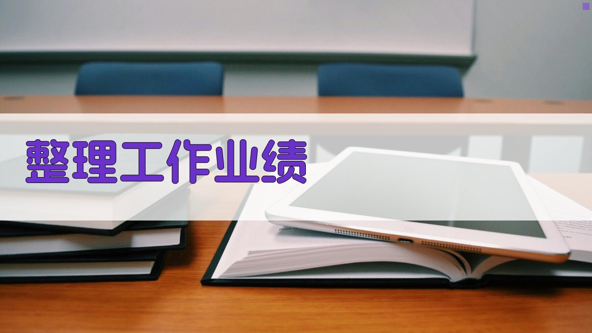 整理工作业绩 图2