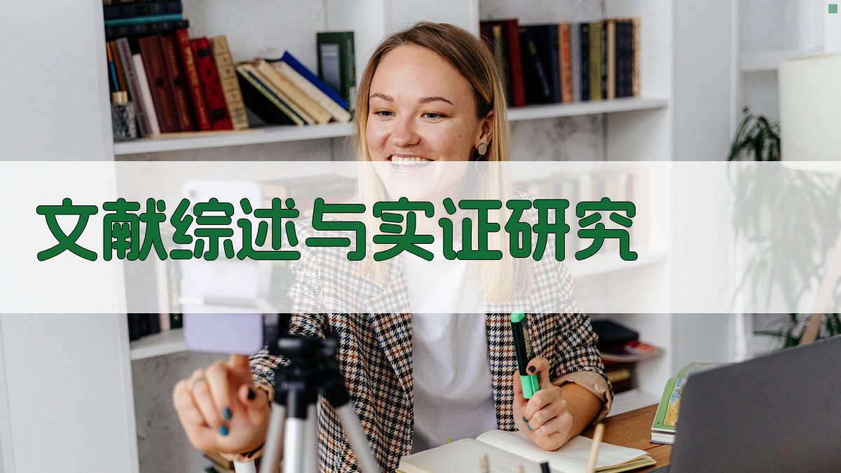 文献综述与实证研究 图3