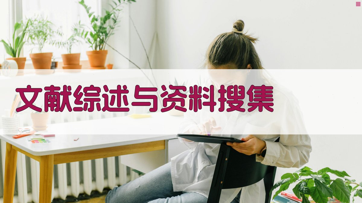 文献综述与资料搜集 图4