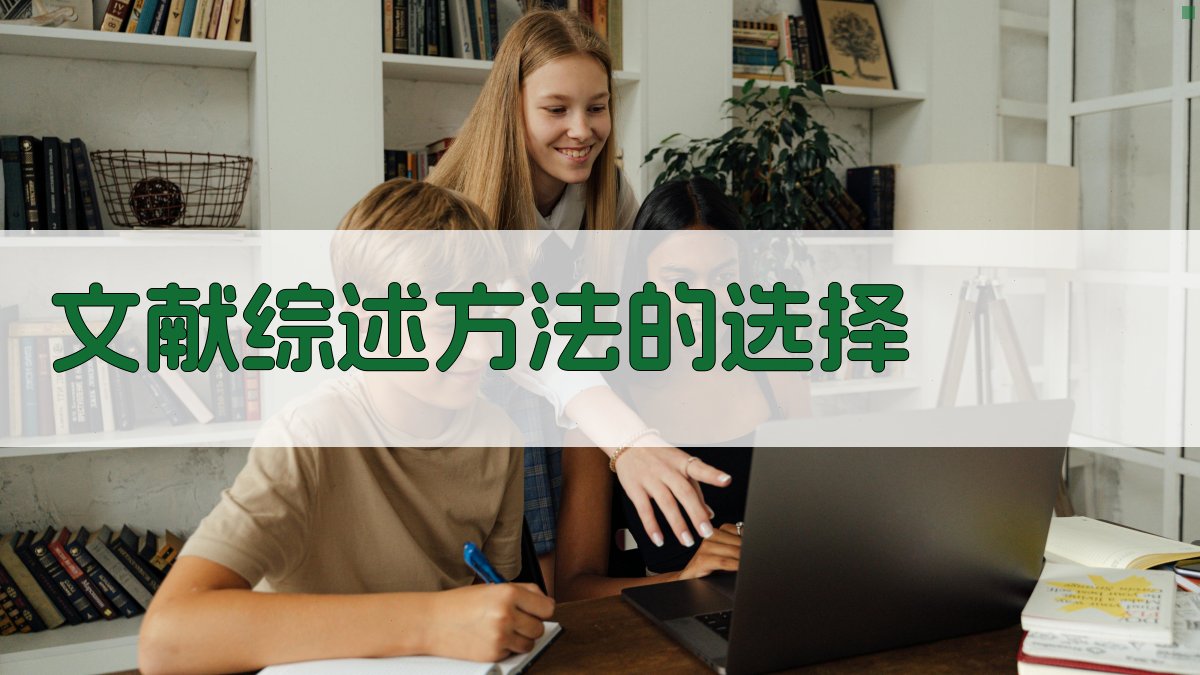 文献综述方法的选择 图3