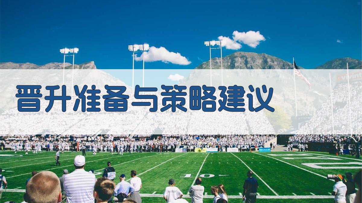 晋升准备与策略建议 图4