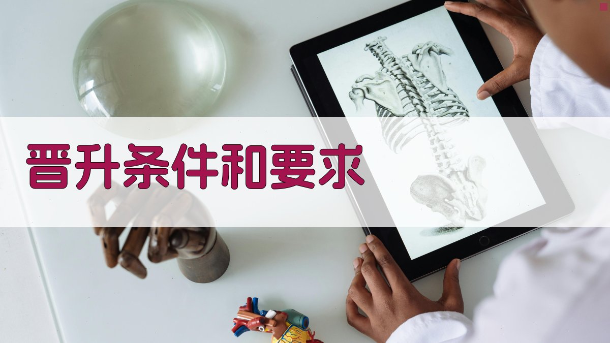 晋升条件和要求 图2