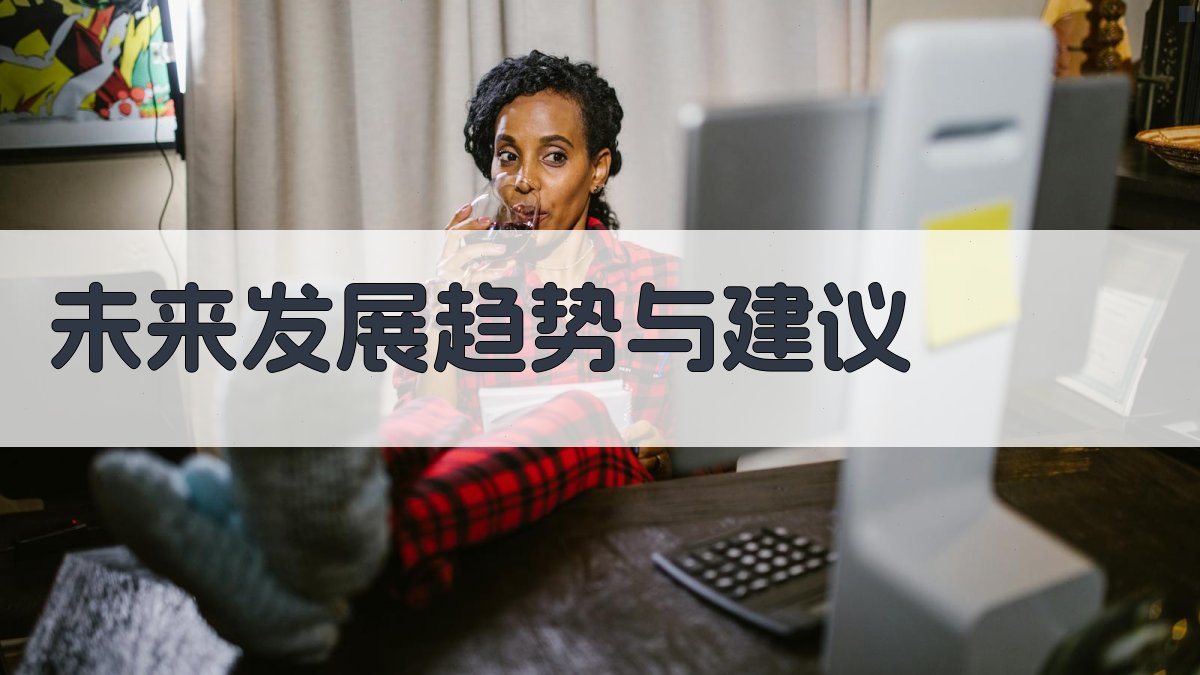 未来发展趋势与建议 图4