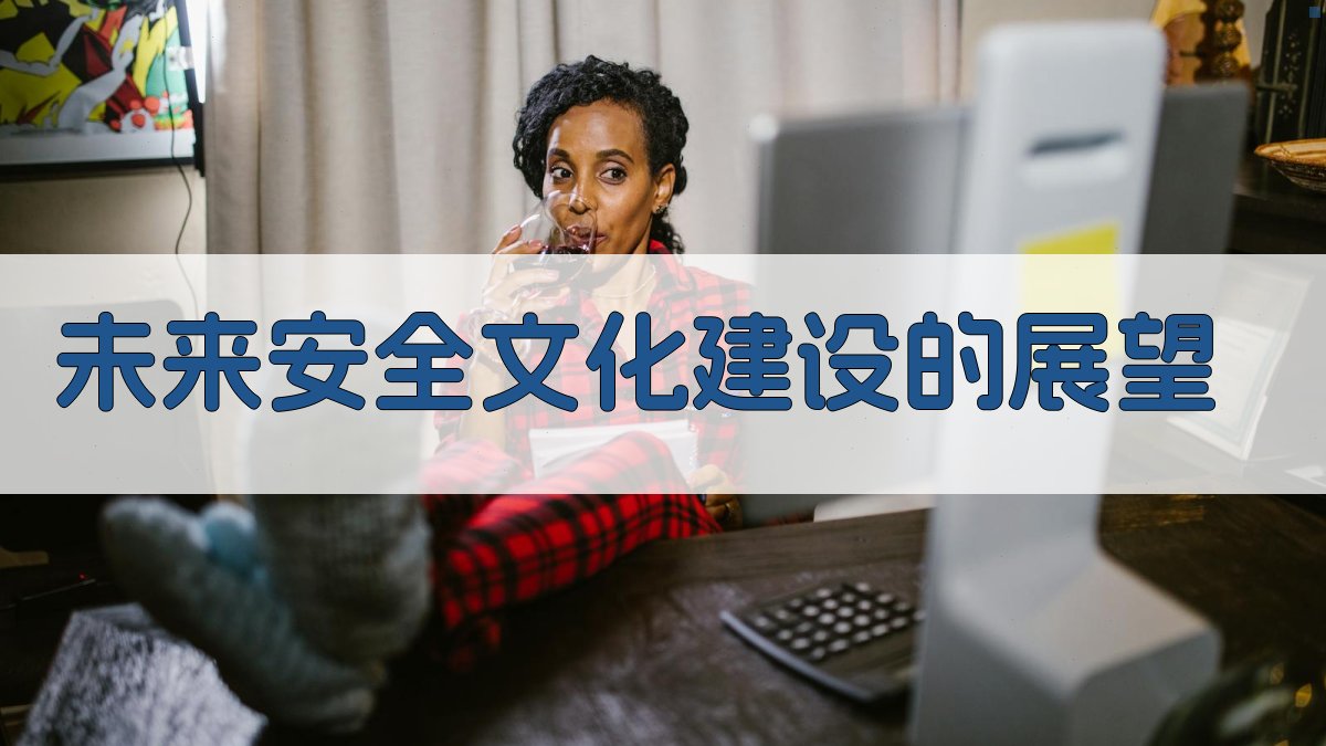 未来安全文化建设的展望 图2