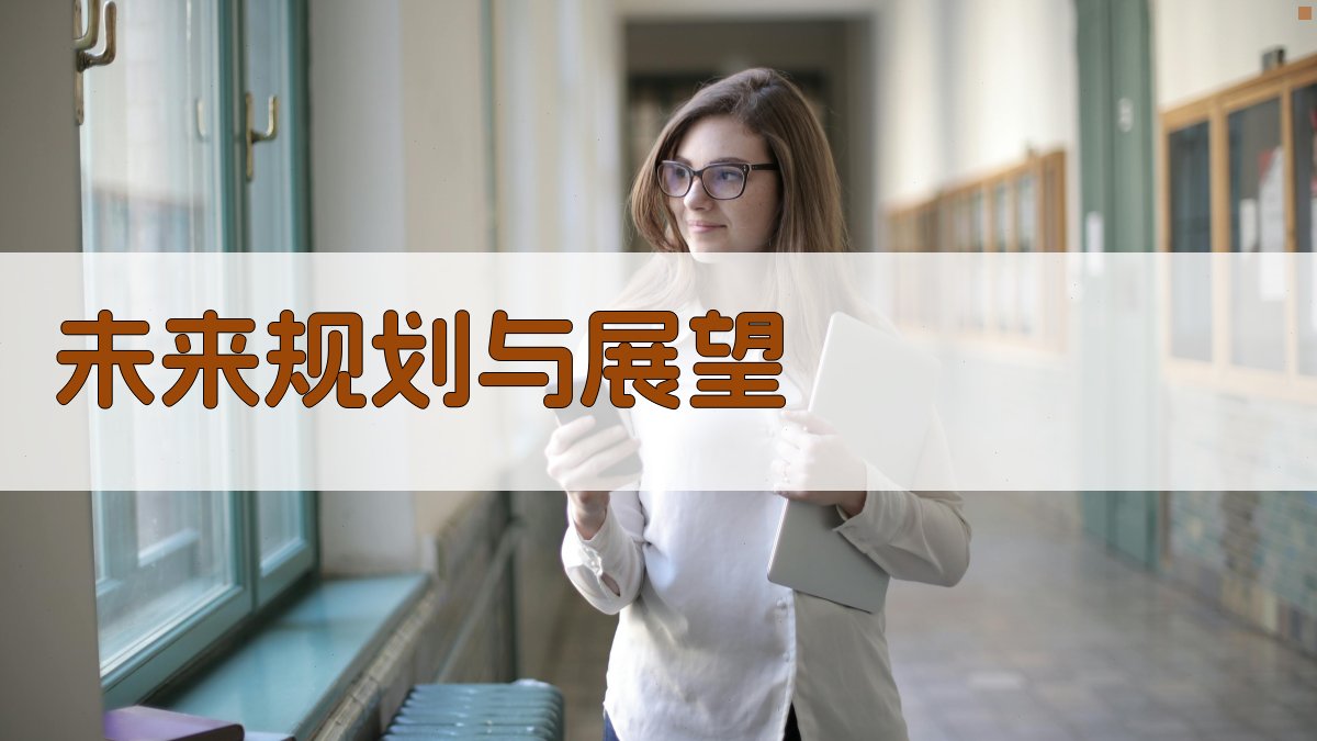 未来规划与展望 图1