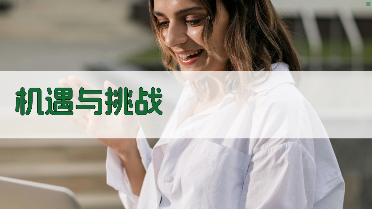 机遇与挑战 图1