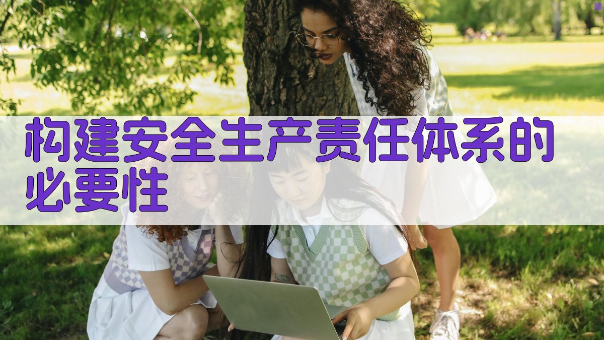 构建安全生产责任体系的必要性 图1