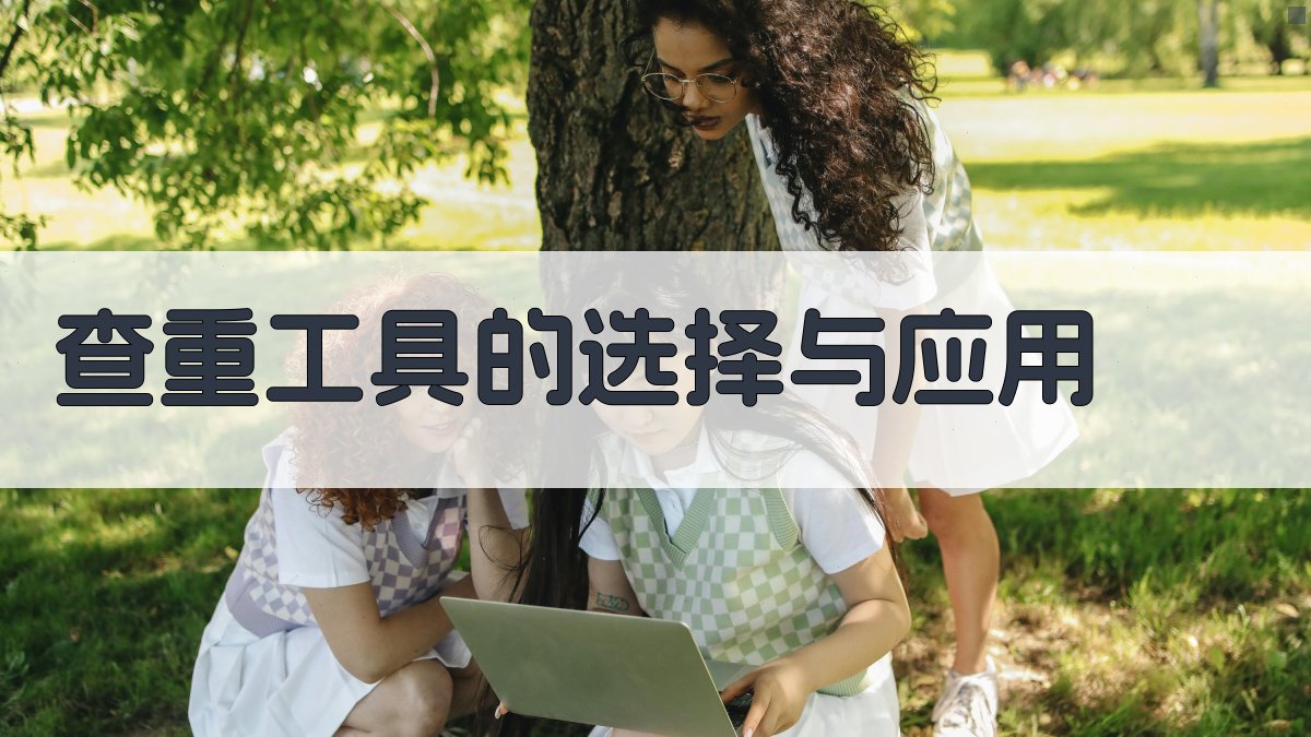 查重工具的选择与应用 图2