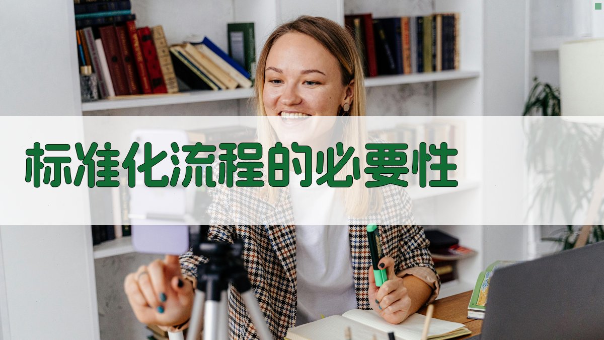 标准化流程的必要性 图2