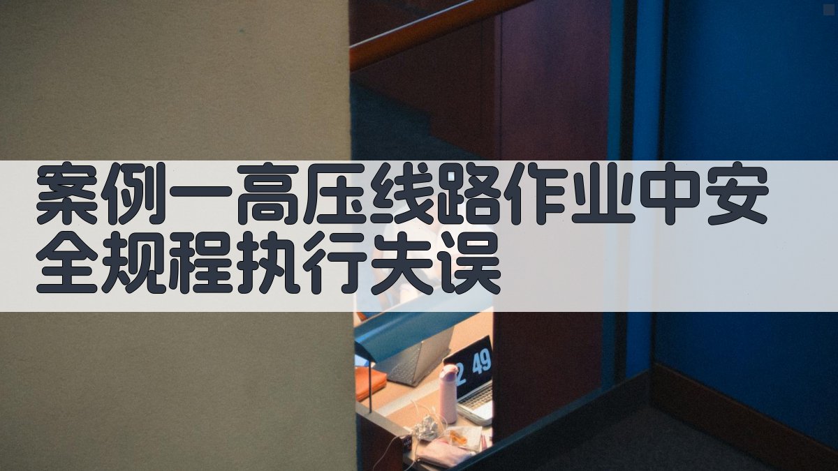 电力安全规程执行案例分析集