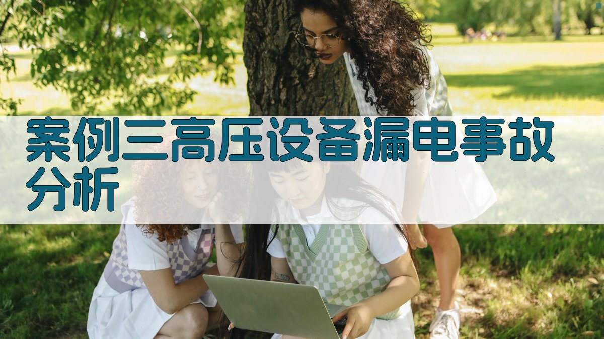 案例三高压设备漏电事故分析 图2