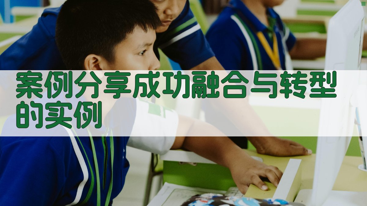 案例分享成功融合与转型的实例 图3