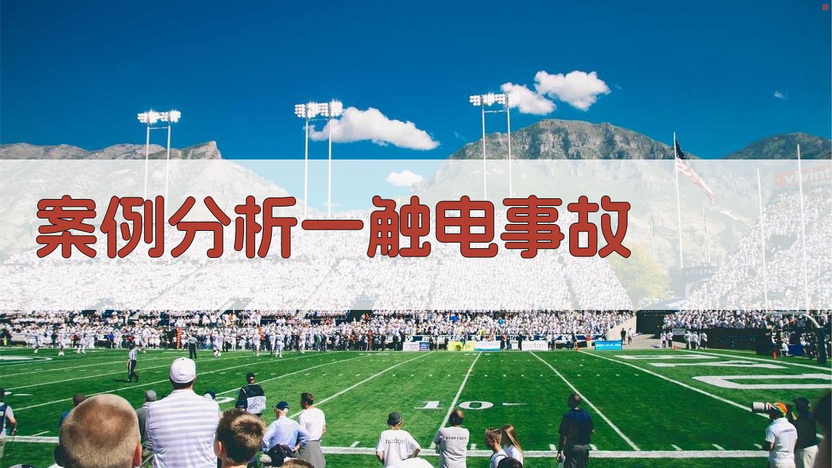 电力安全规程解读与案例分析