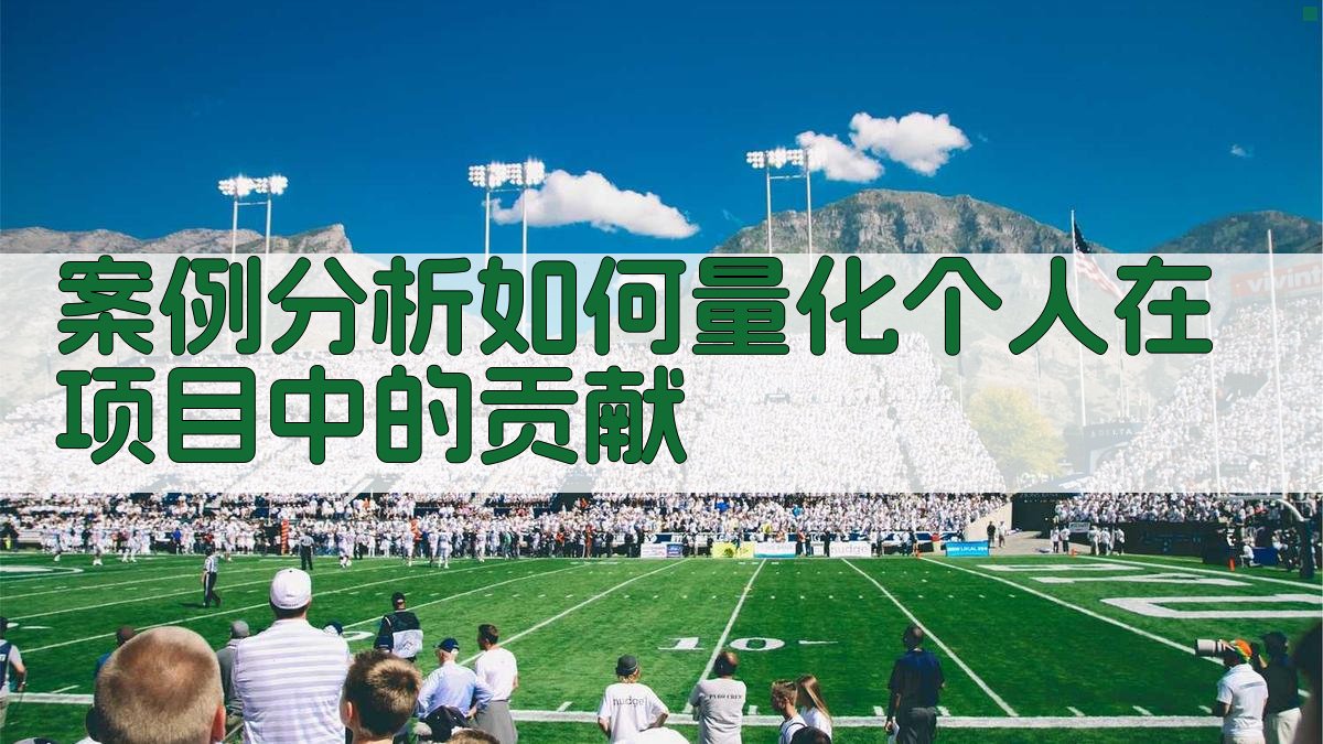 案例分析如何量化个人在项目中的贡献 图1
