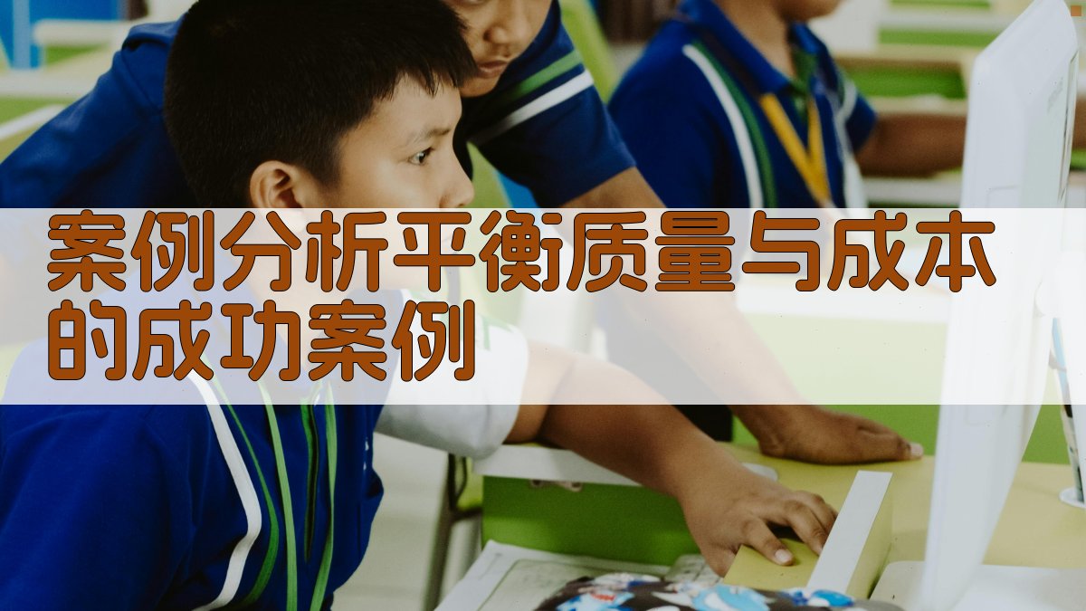 案例分析平衡质量与成本的成功案例 图2