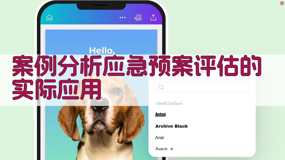 案例分析应急预案评估的实际应用 图4