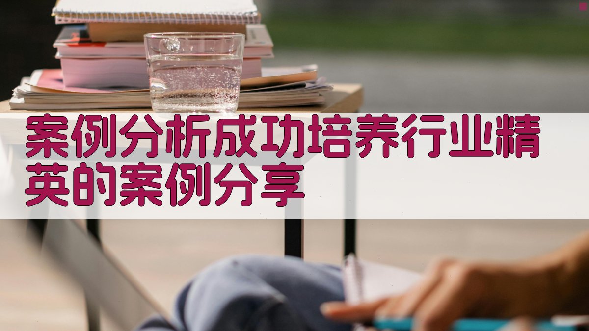 案例分析成功培养行业精英的案例分享 图4