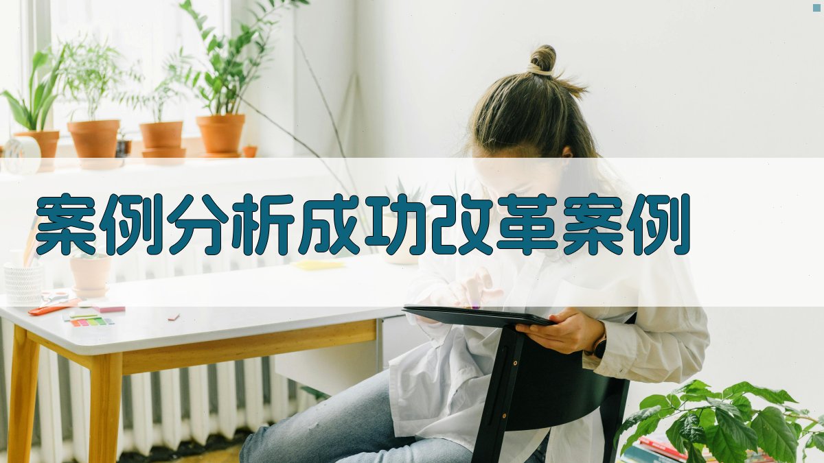 案例分析成功改革案例 图2