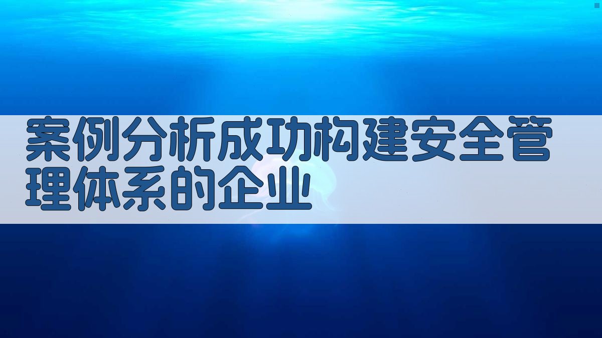 案例分析成功构建安全管理体系的企业 图3